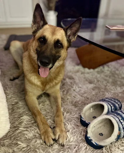 Coastline Wellness logo